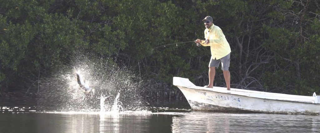 Randy into a tarpon