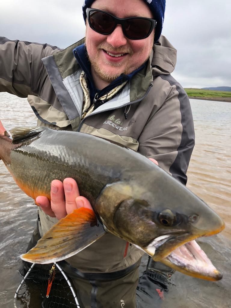 Nice icelandic arctic char