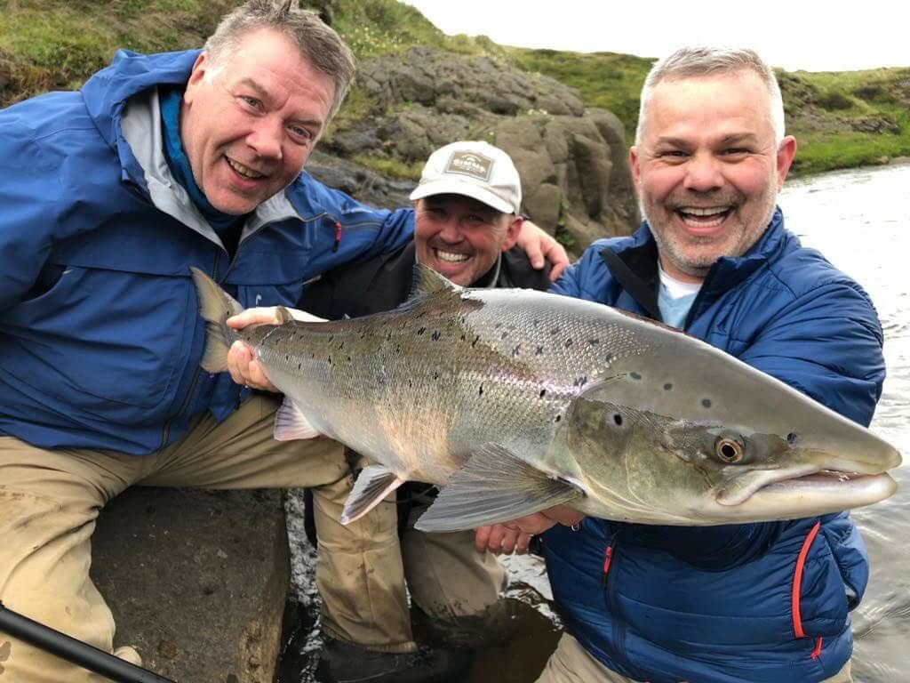 salmon on river Miðfjarðará