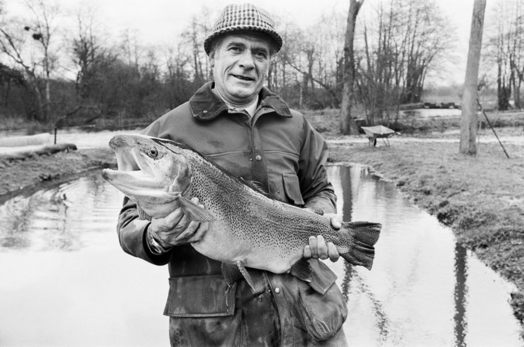 big fish avington