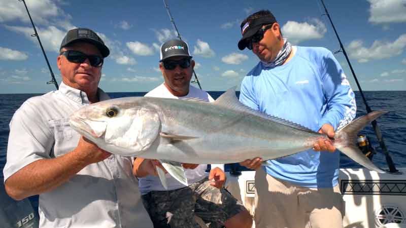 Amberjack Attack on Fishing TV