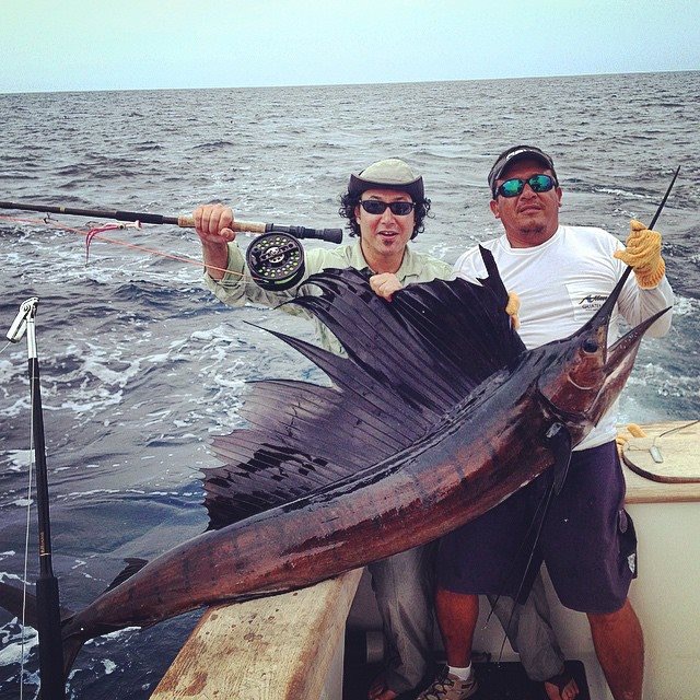 Sailfish