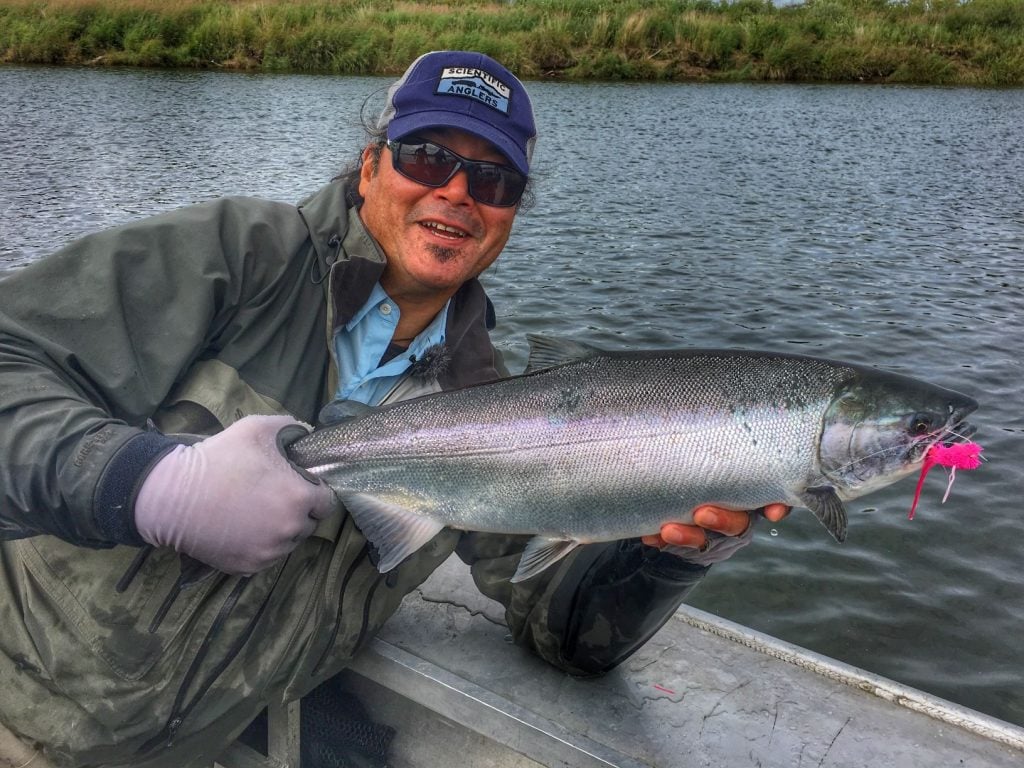 coho