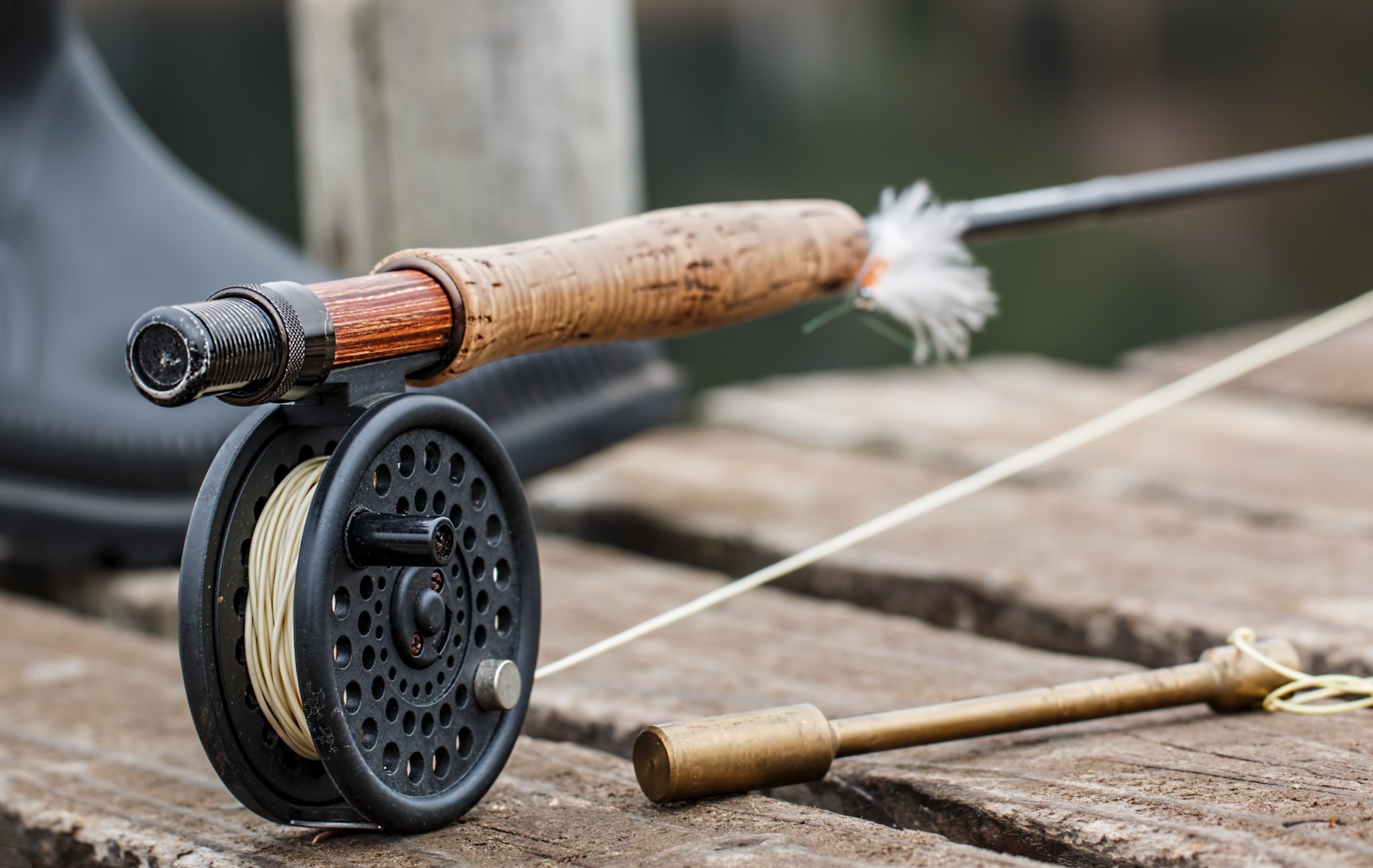The 7 Essential Saltwater Fly Fishing Gear Items Every Angler Should Own -  Fishing TV
