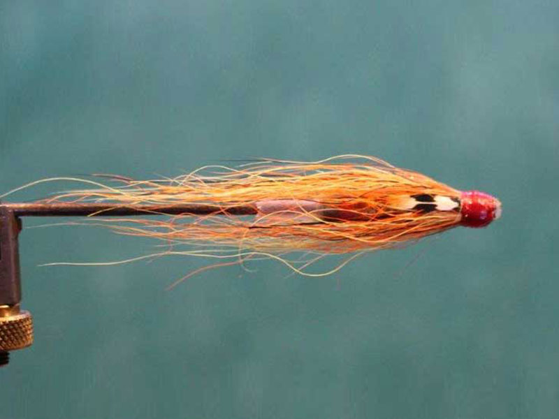 6 Amazing River Tweed Salmon Flies