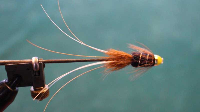 Black Francis Tube