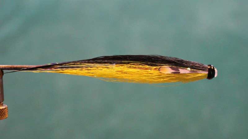 Yellow and Black Salmon Fly Tube